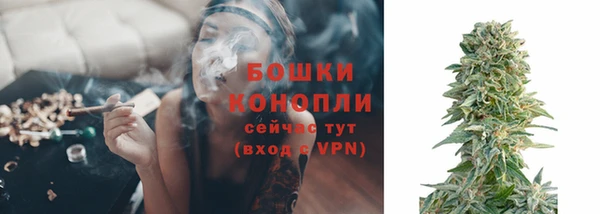 круглые Белокуриха